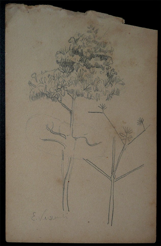 EliseuVisconti-D963-Arbustos – Desmembrado de um caderno de anotações (2)