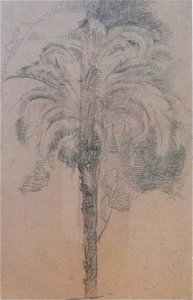 EliseuVisconti-D961-Palmeira (1)