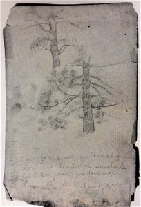 EliseuVisconti-D973-Pinheiro (2)