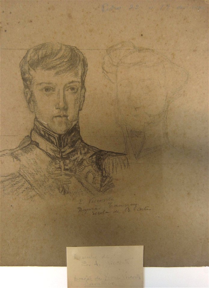 EliseuVisconti-D219-D. Pedro II aos 19 anos