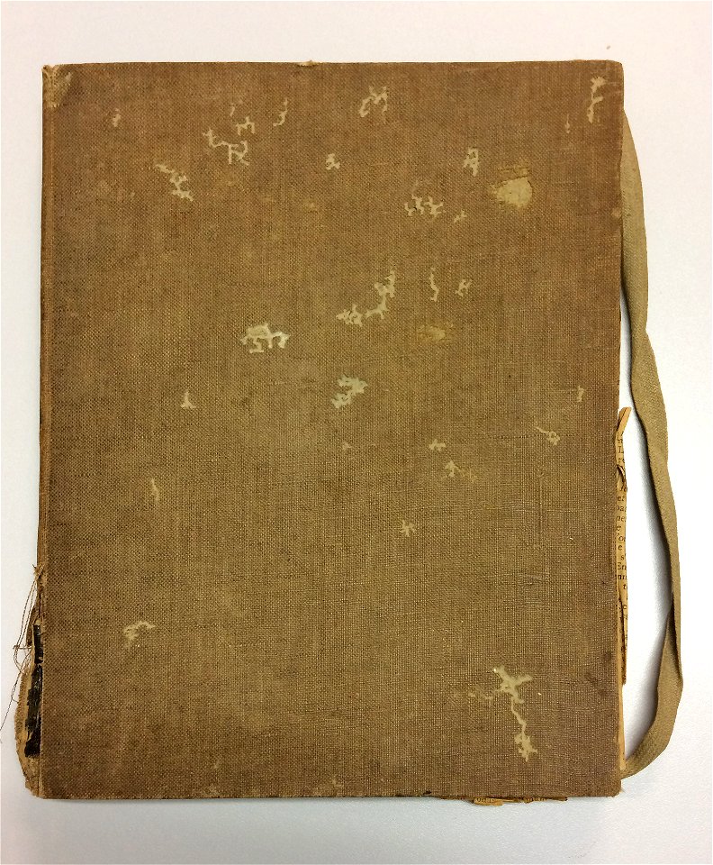 EliseuVisconti-CD016-Caderno 3 do acervo do Museu Nacional de Belas Artes – c.1915