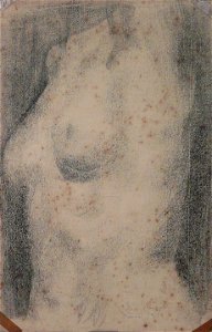 EliseuVisconti-D476-Torso feminino