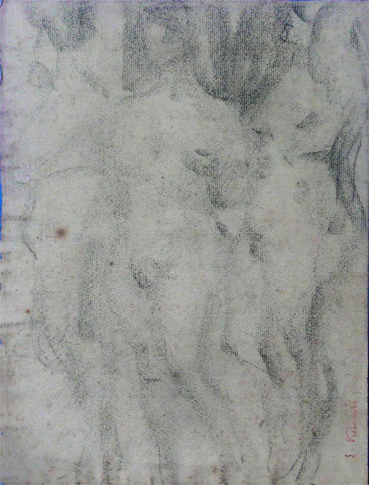 EliseuVisconti-D483-Nus femininos (4)