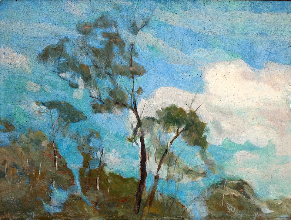 EliseuVisconti-P604-Céu de Teresópolis (1)