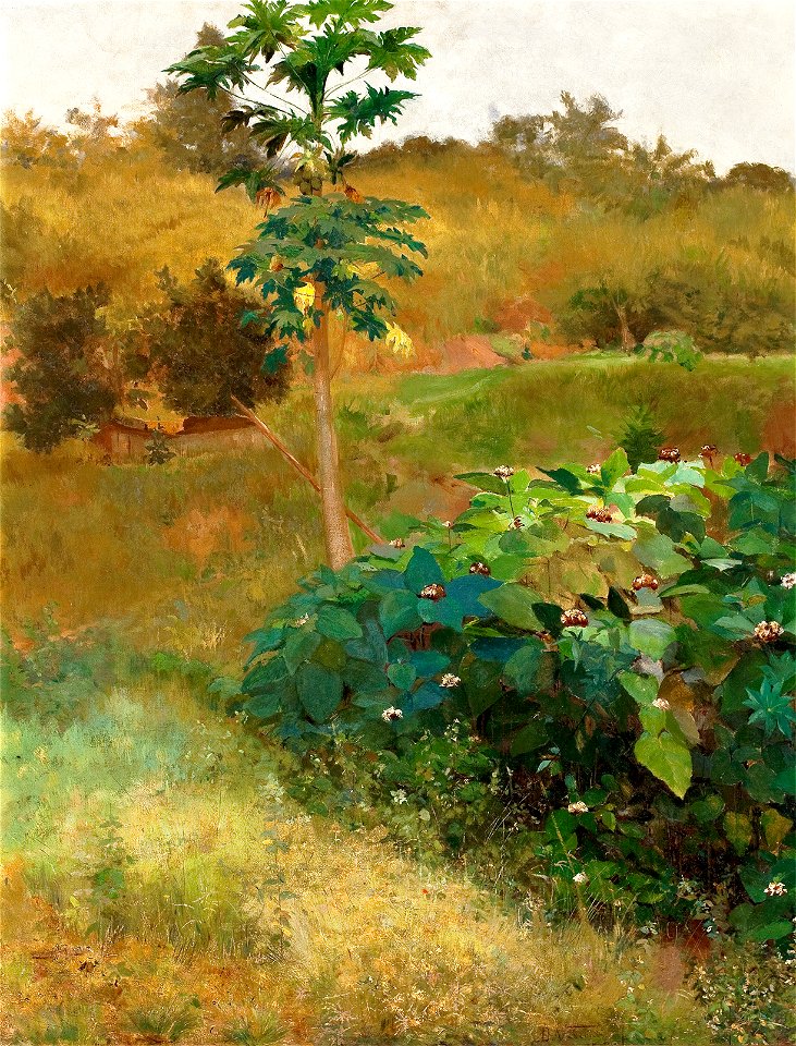 EliseuVisconti-P955-Mamoeiro
