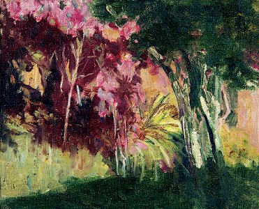 EliseuVisconti-P965-Jardim tropical