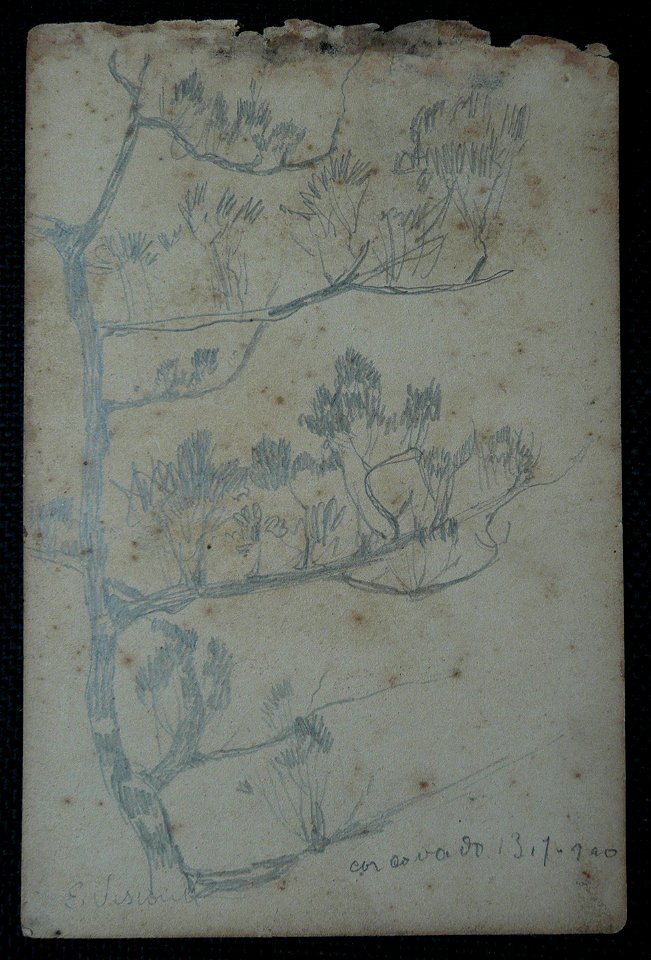 EliseuVisconti-D965-Arbustos – Desmembrado de um caderno de anotações (1)