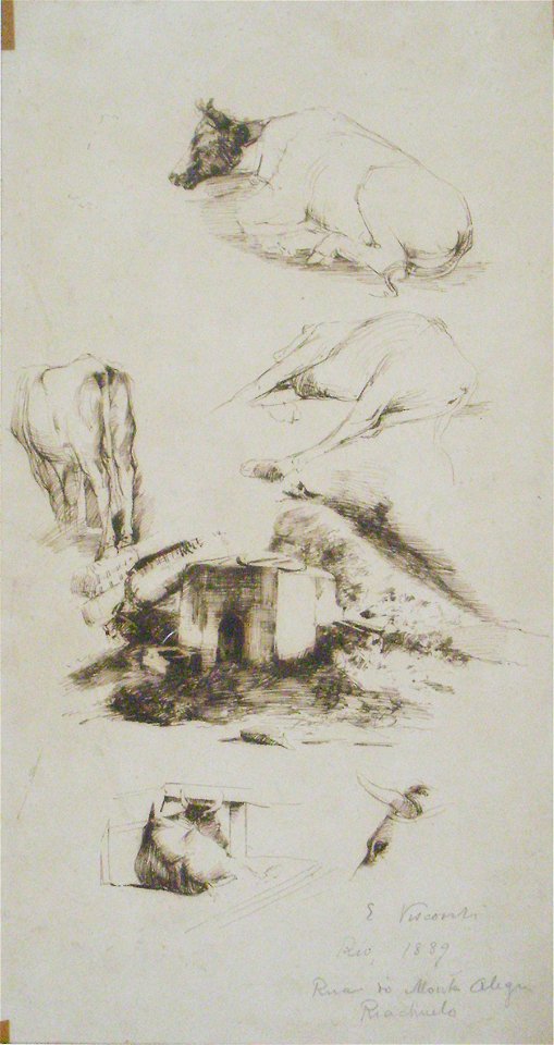 EliseuVisconti-D996-Rua de Monte Alegre – Riachuelo