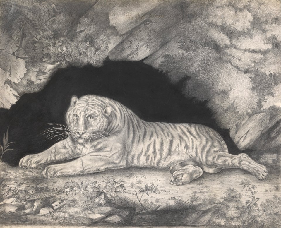 Elizabeth Pringle - A Tiger Lying in the Entrance of a Cave - Google Art Project