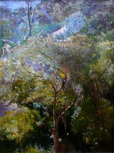 EliseuVisconti-P584-Paisagem tropical