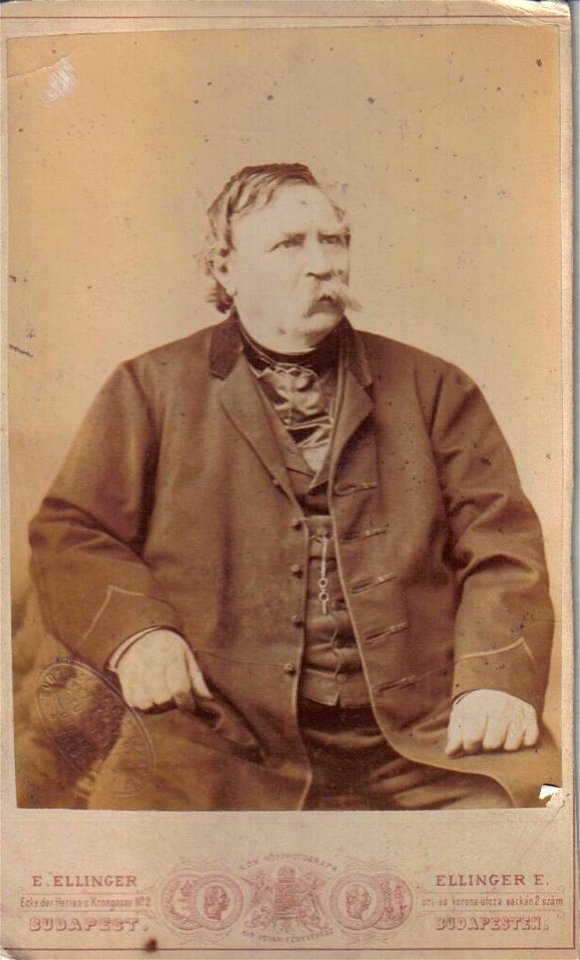 Ellinger Portrait of Ferenc Deák 1870s