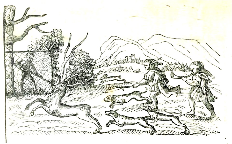 Elogio della pazzia 092