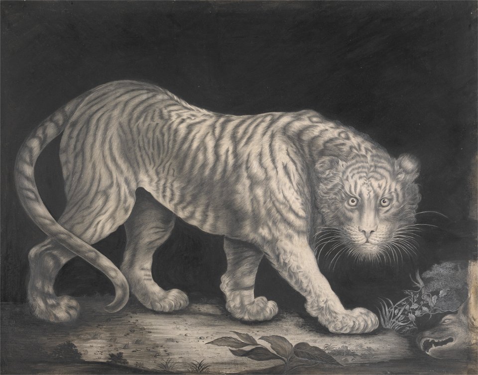 Elizabeth Pringle - A Prowling Tiger - Google Art Project