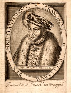 Emanuel van Meteren Historie ppn 051504510 MG 8675 Franciscus de II