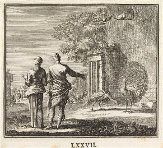 Embleem- pauw