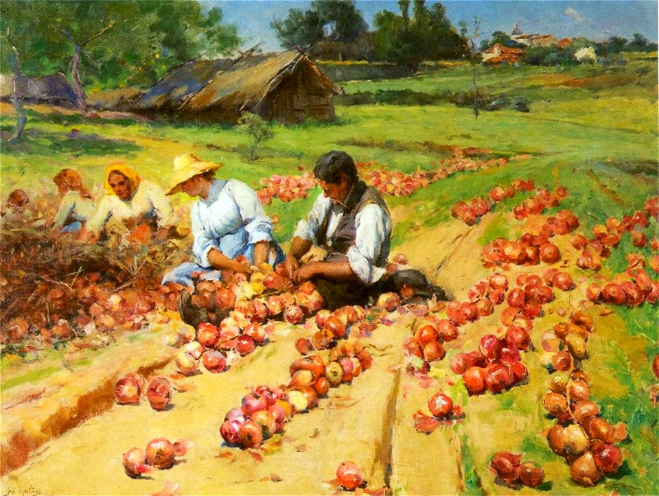 Embraçar cebolas, 1896 (Figueiró dos Vinhos, Portugal) (6832899030)
