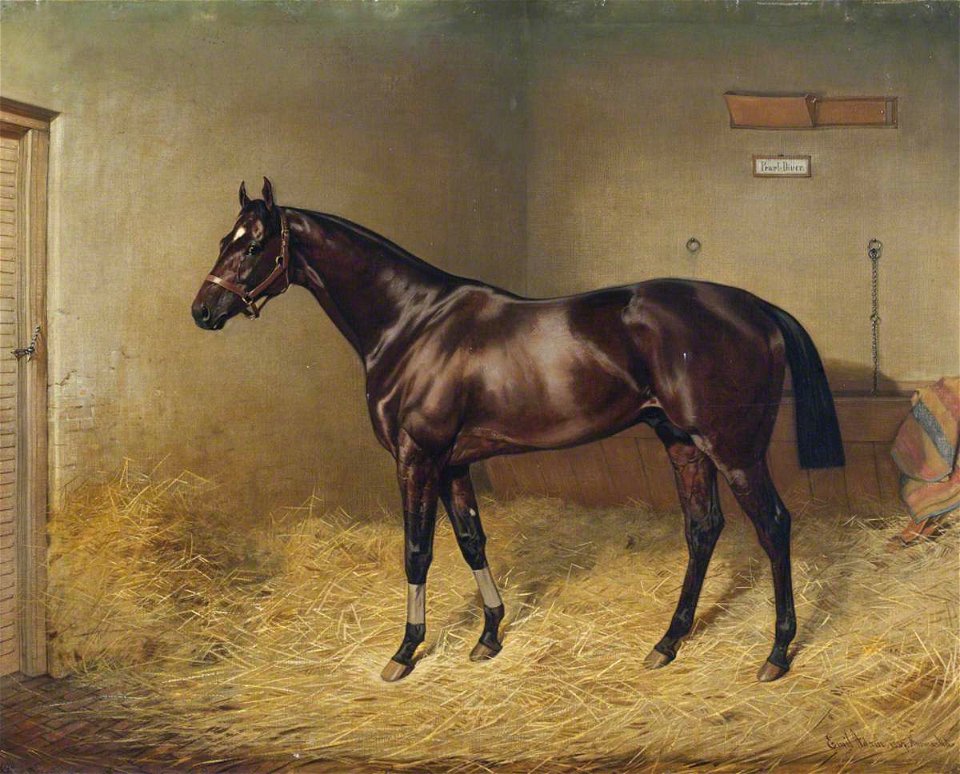 Emil Adam (1843-1924) - 'Pearl Diver', a Bay Racehorse, in a Stable - 1276786 - National Trust