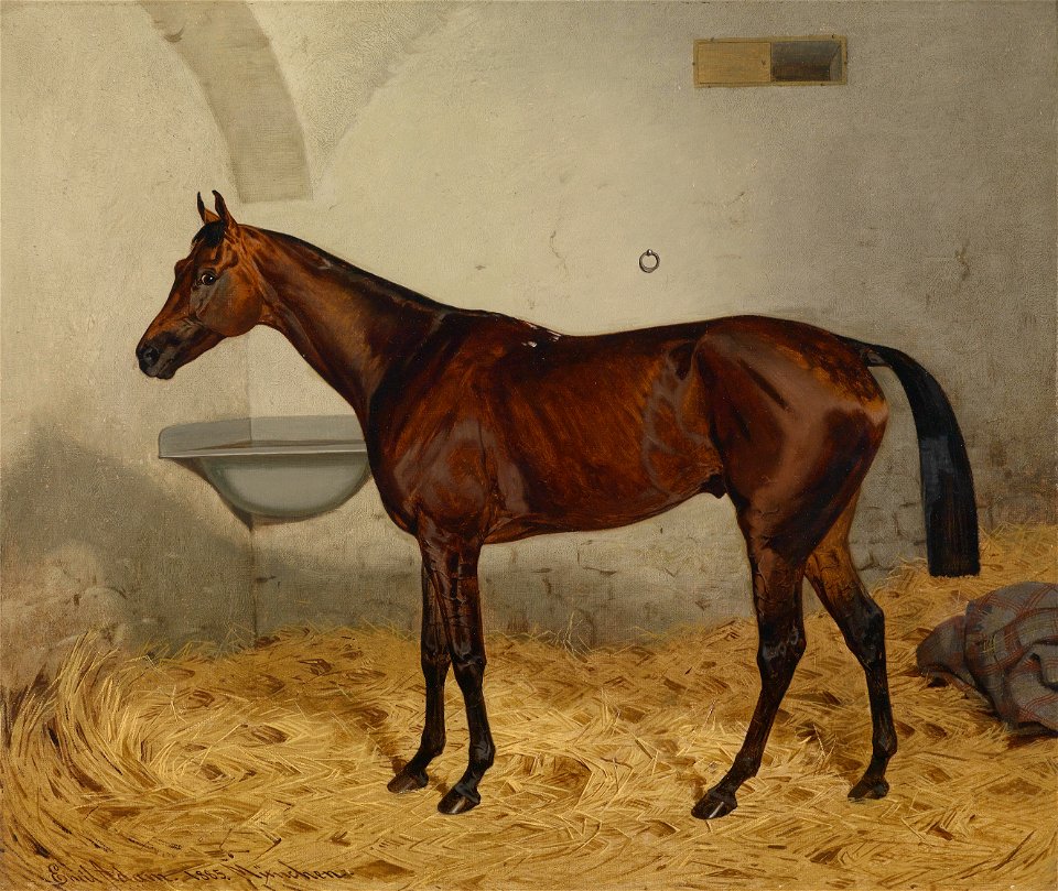 Emil Adam Mettalist 1885