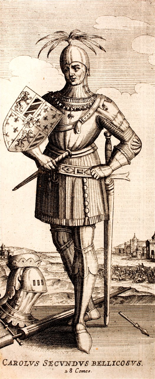Emanuel-van-Meteren-Historien-der-Nederlanden-tot-1612 MG 9958