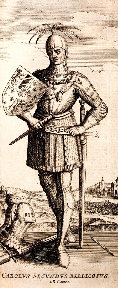 Emanuel-van-Meteren-Historien-der-Nederlanden-tot-1612 MG 9958