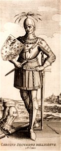Emanuel-van-Meteren-Historien-der-Nederlanden-tot-1612 MG 9958