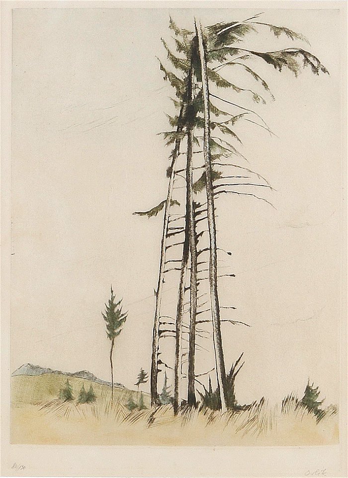 Emil Orlik In den Karpaten