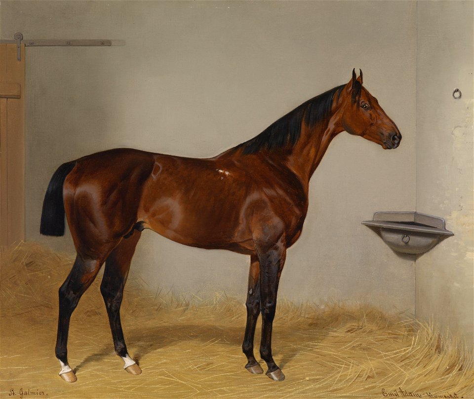 Emil Adam St Galmier