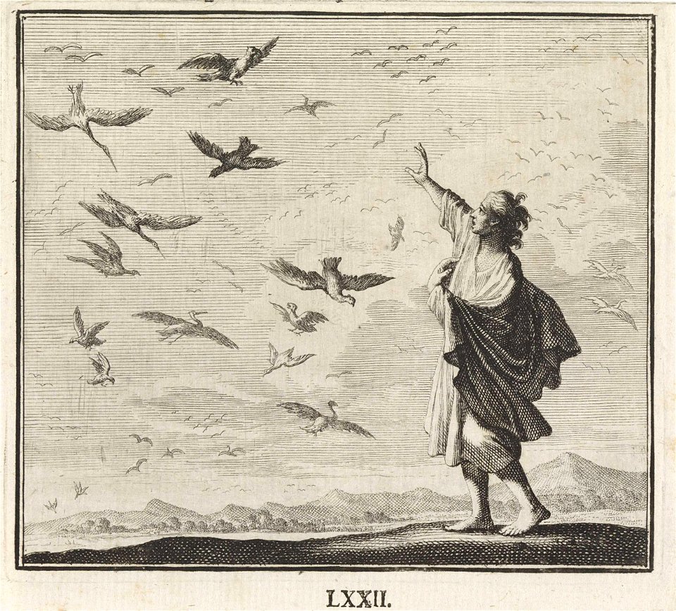 Embleem- vogels
