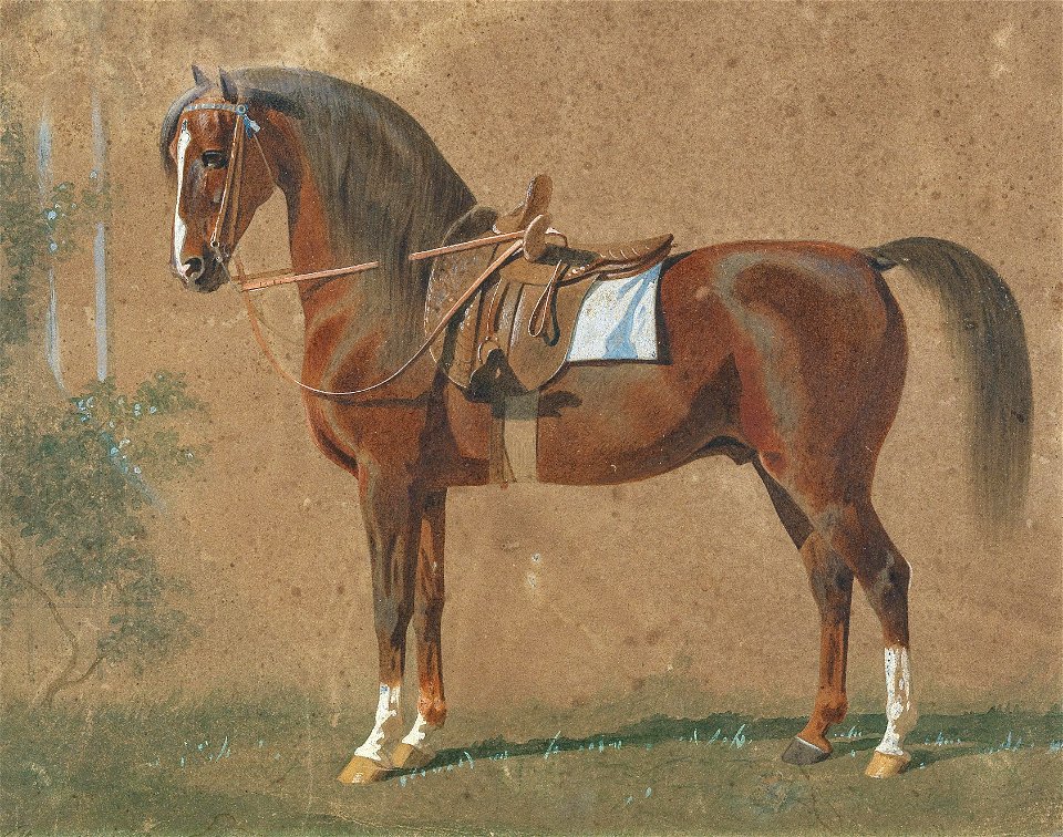 Emil Volker Gesattelter Hengst 1865