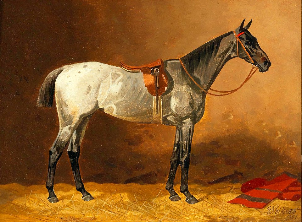 Emil Volkers - Gesatteltes Reitpferd