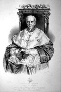 Emerich von Palugay Litho