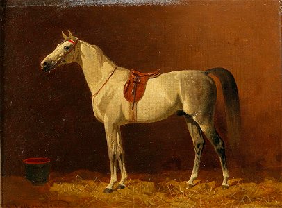 Emil Volkers - Schimmel im Stall