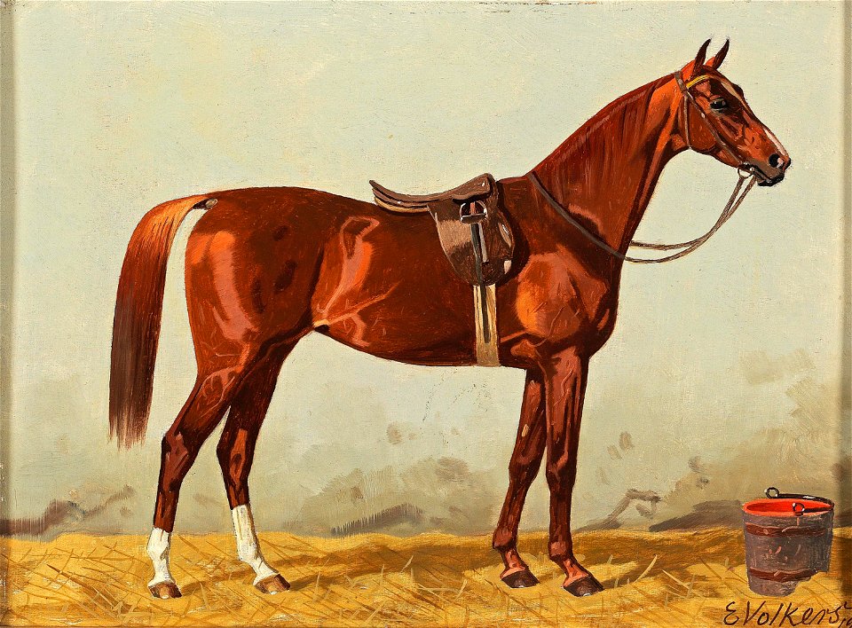 Emil Volkers Brauner im Stall 1901