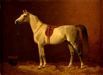 Emil Volkers Gesattelter Schimmel 1893