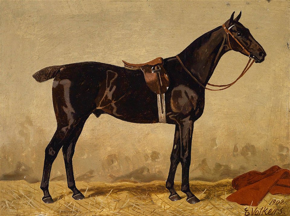 Emil Volkers Rappe 1902