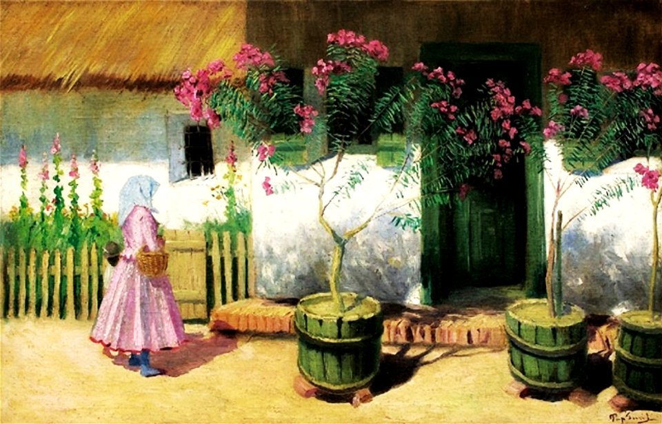 Emile Pap 021 (27477899099)