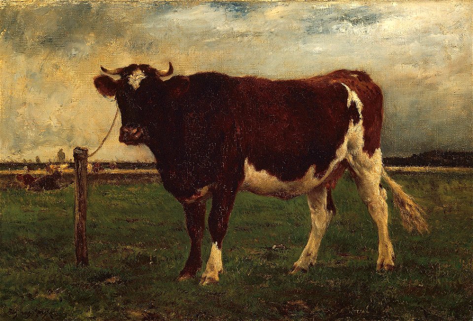 Emile van Marcke de Lummen - Study of a Cow - 1894.1072 - Art Institute of Chicago