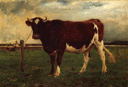 Emile van Marcke de Lummen - Study of a Cow - 1894.1072 - Art Institute of Chicago