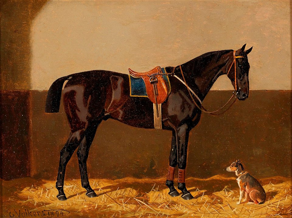 Emil Volkers - Before the Ride