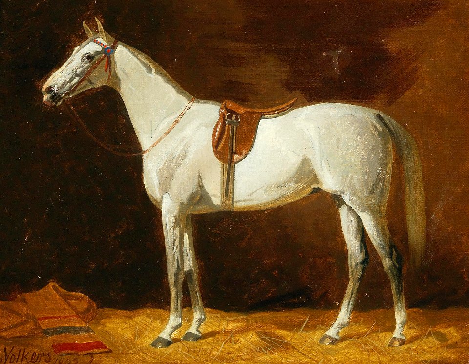 Emil Volkers - Gesattelter Schimmel im Stall