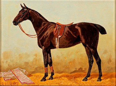 Emil Volkers Brauner im Stall mit Satteldecke 1903