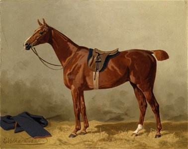 Emil Volkers Gesatteltes Sportpferd 1895 img02