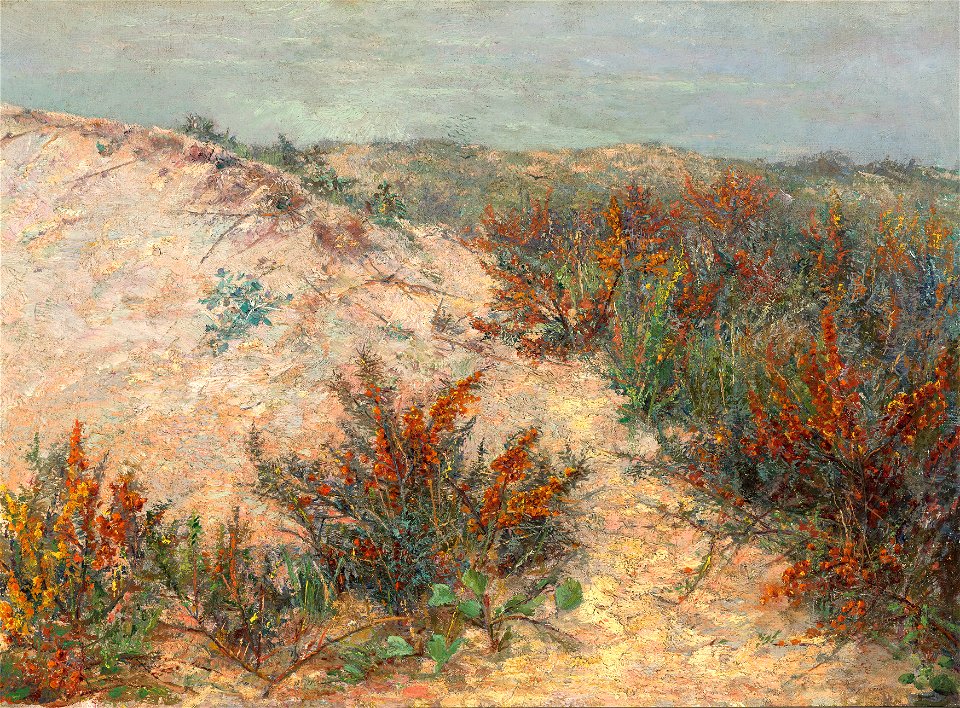 Emilie Mediz-Pelikan - Dünen mit Stranddorn bei Knokke - 7247 - Österreichische Galerie Belvedere