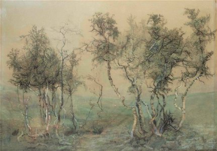 Emilie Mediz-Pelikan Birkenzauber 1903