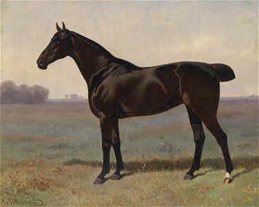 Emil Volkers Rappe in Landschaft 1886