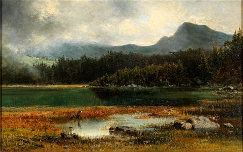Emilie Mediz-Pelikan Fischreiher am Bergsee