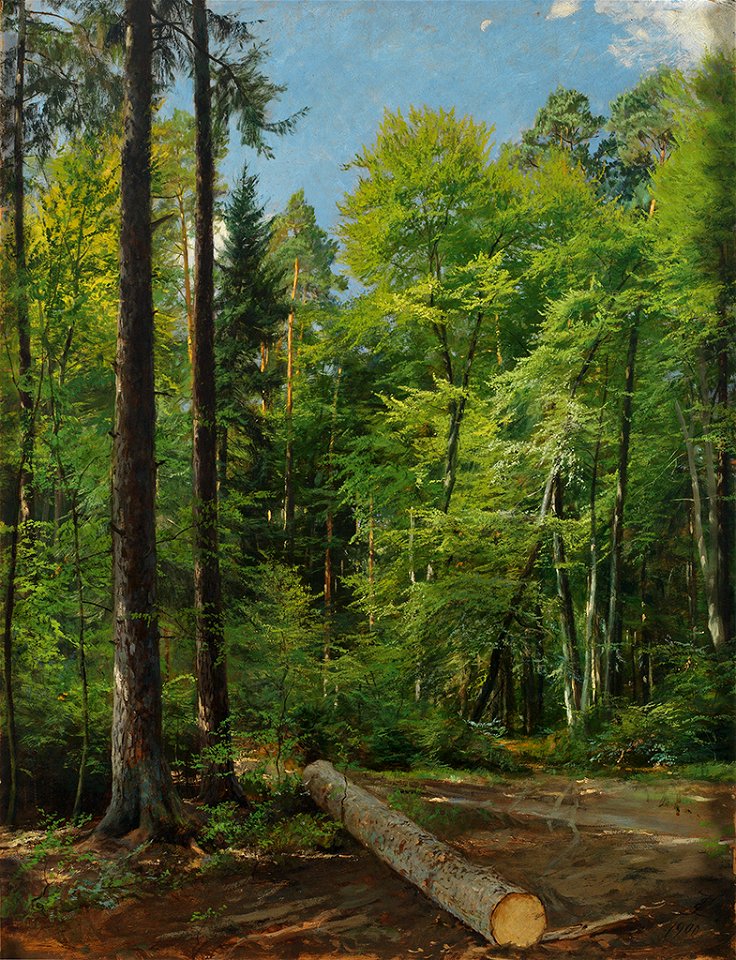 Emil Zschimmer Waldinneres 1900