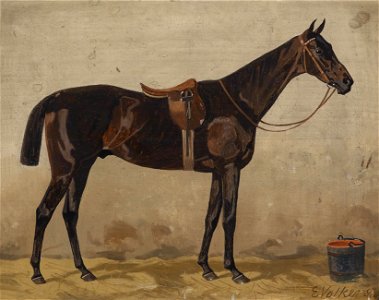 Emil Volkers Brauner im Stall 1900