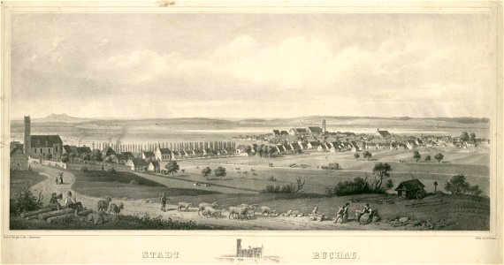 Emminger Buchau c1850