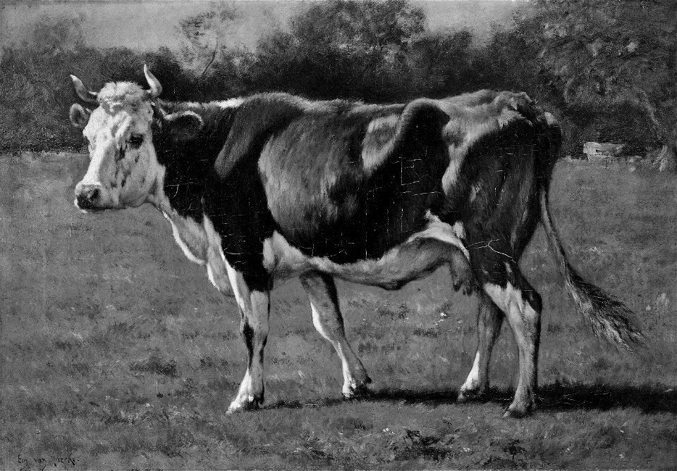 Emile van Marcke de Lummen - Study of a Cow - 1910.288 - Art Institute of Chicago